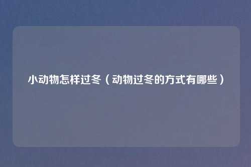 小动物怎样过冬（动物过冬的方式有哪些）