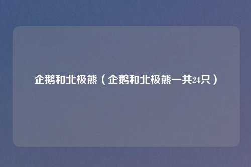 企鹅和北极熊（企鹅和北极熊一共24只）