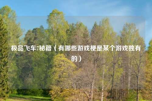 极品飞车7秘籍（有哪些游戏梗是某个游戏独有的）