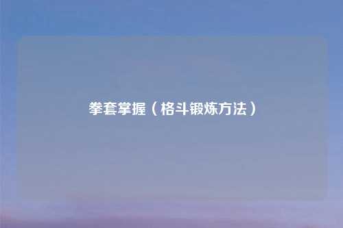 拳套掌握（格斗锻炼方法）