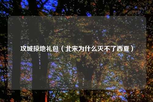 攻城掠地礼包（北宋为什么灭不了西夏）