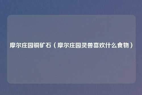 摩尔庄园铜矿石（摩尔庄园灵兽喜欢什么食物）