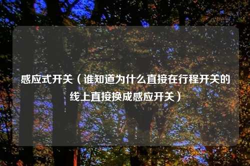 感应式开关（谁知道为什么直接在行程开关的线上直接换成感应开关）
