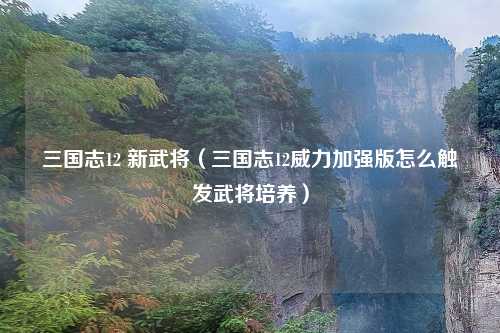 三国志12 新武将（三国志12威力加强版怎么触发武将培养）