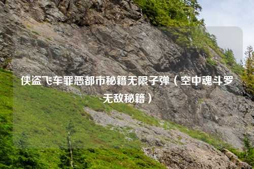 侠盗飞车罪恶都市秘籍无限子弹（空中魂斗罗无敌秘籍）