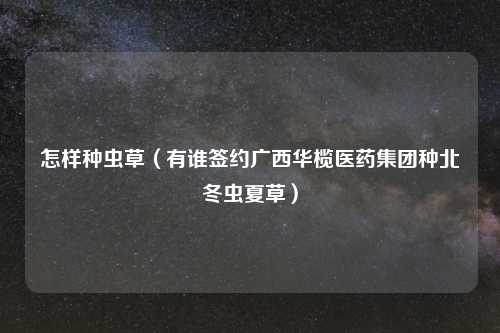 怎样种虫草（有谁签约广西华榄医药集团种北冬虫夏草）