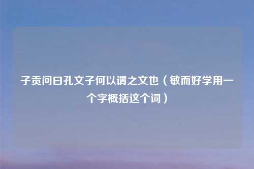 子贡问曰孔文子何以谓之文也（敏而好学用一个字概括这个词）