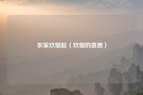 农家炊烟起（炊烟的意思）