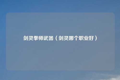 剑灵拳师武器（剑灵哪个职业好）