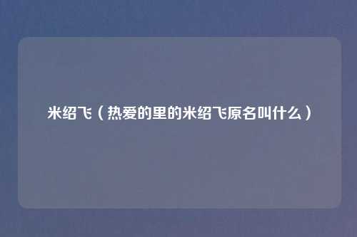 米绍飞（热爱的里的米绍飞原名叫什么）
