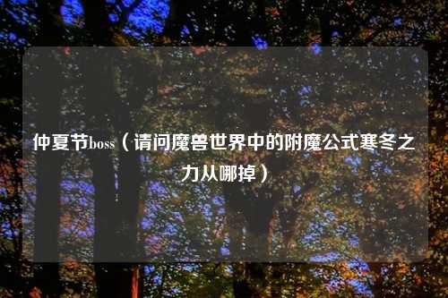 仲夏节boss（请问魔兽世界中的附魔公式寒冬之力从哪掉）