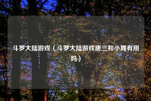 斗罗大陆游戏（斗罗大陆游戏唐三和小舞有用吗）