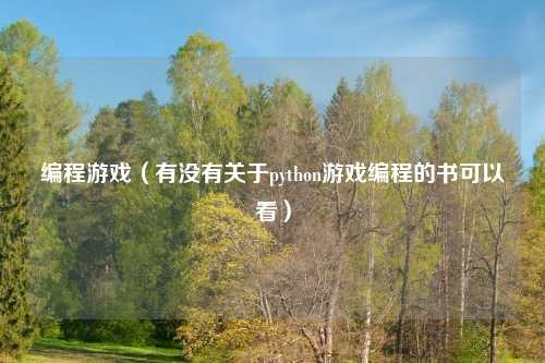 编程游戏（有没有关于python游戏编程的书可以看）