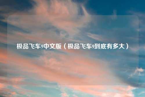 极品飞车9中文版（极品飞车9到底有多大）