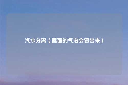 汽水分离（里面的气泡会冒出来）