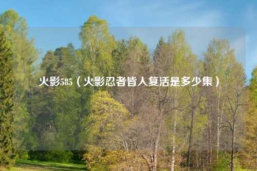 火影585（火影忍者皆人复活是多少集）