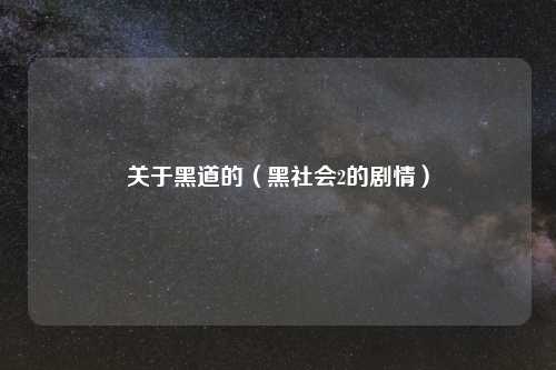 关于黑道的（黑社会2的剧情）