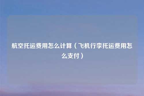 航空托运费用怎么计算（飞机行李托运费用怎么支付）