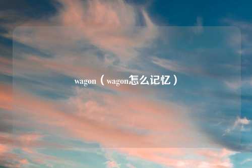 wagon（wagon怎么记忆）