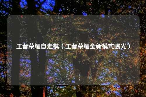 王者荣耀自走棋（王者荣耀全新模式曝光）