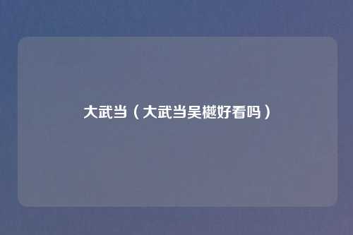 大武当（大武当吴樾好看吗）