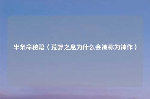 半条命秘籍（荒野之息为什么会被称为神作）