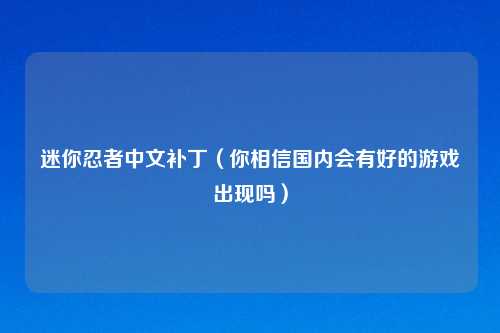 迷你忍者中文补丁（你相信国内会有好的游戏出现吗）