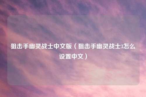 狙击手幽灵战士中文版（狙击手幽灵战士3怎么设置中文）