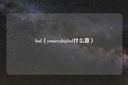 fool（youareabigfool什么意）