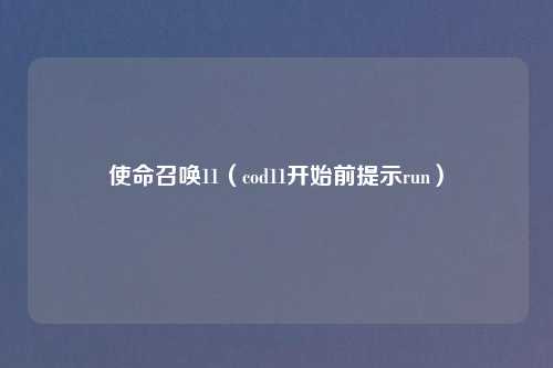 使命召唤11（cod11开始前提示run）