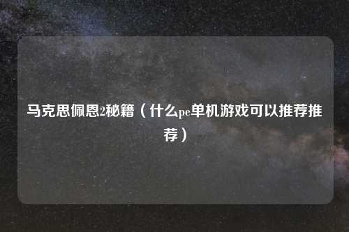 马克思佩恩2秘籍（什么pe单机游戏可以推荐推荐）