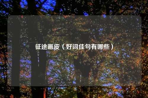 征途画皮（好词佳句有哪些）
