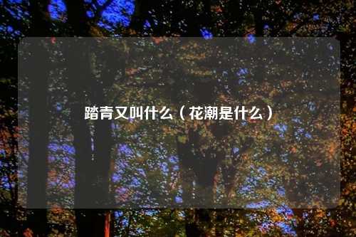 踏青又叫什么（花潮是什么）