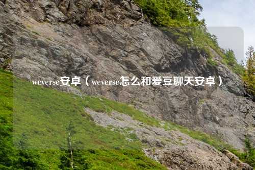 weverse安卓（weverse怎么和爱豆聊天安卓）