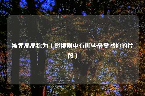 被乔晶晶称为（影视剧中有哪些最震撼你的片段）