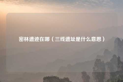 密林遗迹在哪（三线遗址是什么意思）