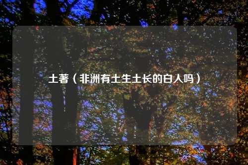 土著（非洲有土生土长的白人吗）
