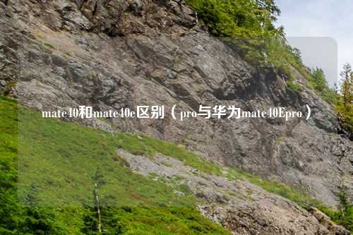 mate40和mate40e区别（pro与华为mate40Epro）