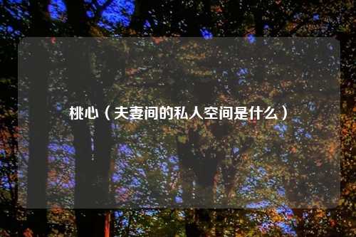 桃心（夫妻间的私人空间是什么）
