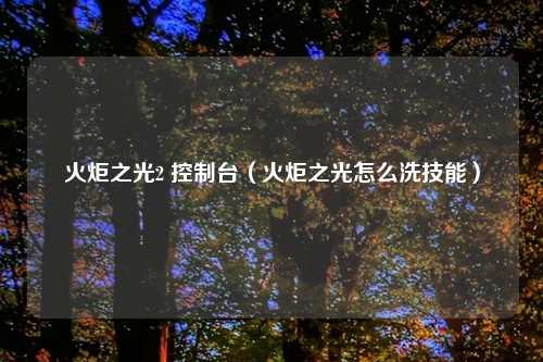 火炬之光2 控制台（火炬之光怎么洗技能）
