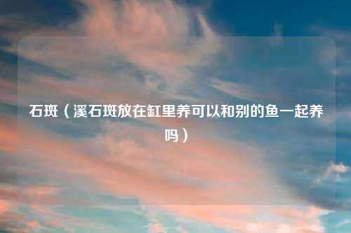 石斑（溪石斑放在缸里养可以和别的鱼一起养吗）