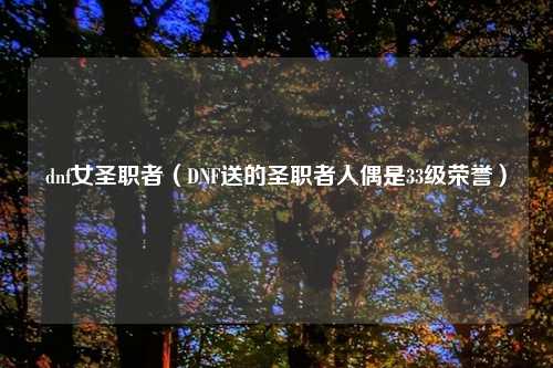 dnf女圣职者（DNF送的圣职者人偶是33级荣誉）