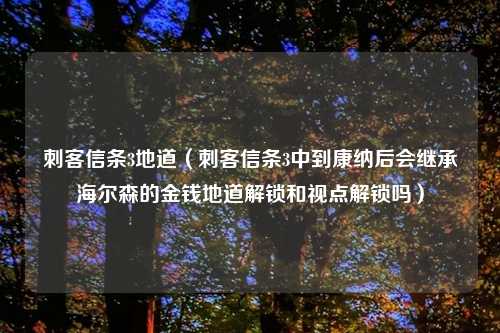 刺客信条3地道（刺客信条3中到康纳后会继承海尔森的金钱地道解锁和视点解锁吗）