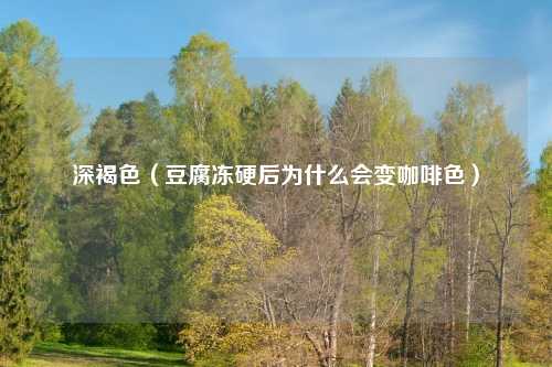 深褐色（豆腐冻硬后为什么会变咖啡色）