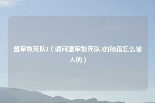 盟军敢死队3（请问盟军敢死队3的秘籍怎么输入的）