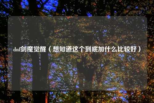 dnf剑魔觉醒（想知道这个到底加什么比较好）
