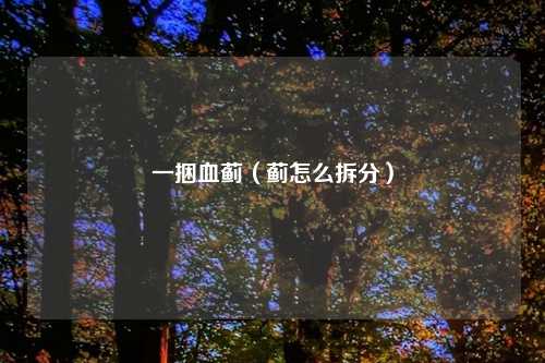 一捆血蓟（蓟怎么拆分）