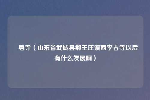 砮皂寺（山东省武城县郝王庄镇西李古寺以后有什么发展啊）