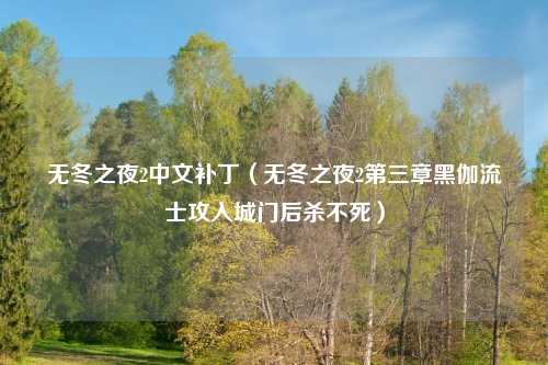 无冬之夜2中文补丁（无冬之夜2第三章黑伽流士攻入城门后杀不死）