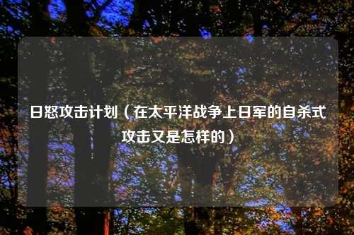 日怒攻击计划（在太平洋战争上日军的自杀式攻击又是怎样的）